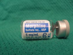 addicted to morphine